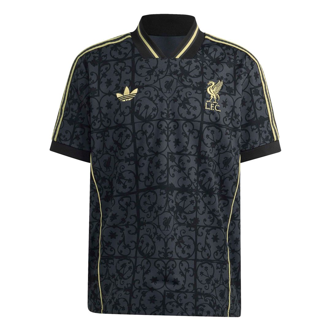 Liverpool adidas Unisex Lifestyler Fashion Jersey - Gray